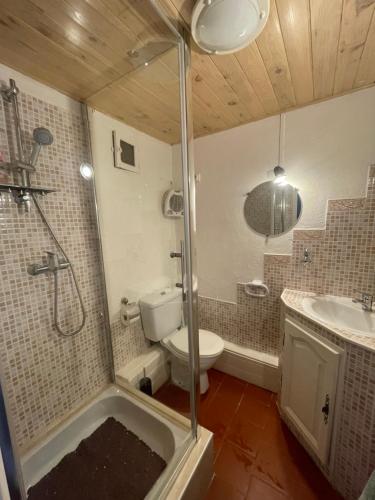 a bathroom with a shower and a toilet and a sink at Studio Climatisé pour 2 pers - Salins de Giraud in Salin-de-Giraud