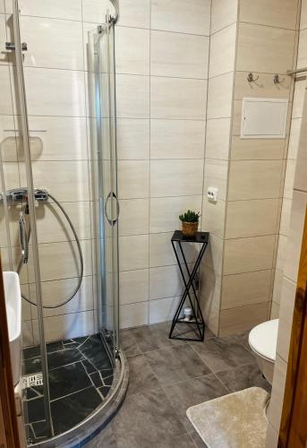 a bathroom with a shower with a sink and a toilet at J&K Apartments in Brocēni