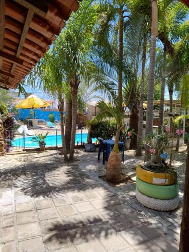 a patio with palm trees and a swimming pool at Pousada Chácara Porto do Sol in Jacumã