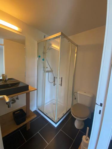 a bathroom with a shower and a toilet at Studio Cosy 2 in Han-sur-Lesse