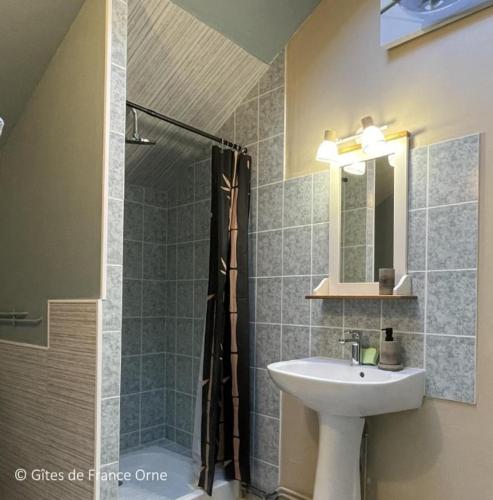a bathroom with a sink and a shower at L'Érable du perche in Tourouvre