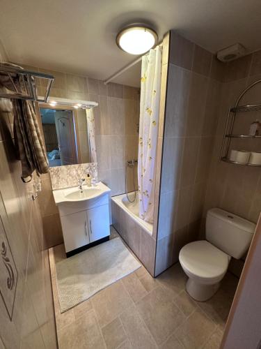 a bathroom with a toilet and a sink and a shower at Apartmány v Buši in Buš