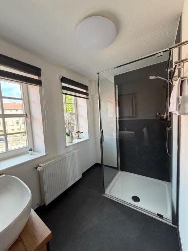a bathroom with a glass shower and a sink at MARKINA - Ferienwohnung - Kiliani I in Mühlhausen