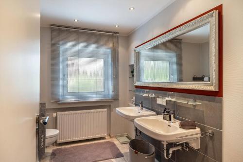 a bathroom with a sink and a mirror at Apartmenthaus Baden-Chalet in Bühl