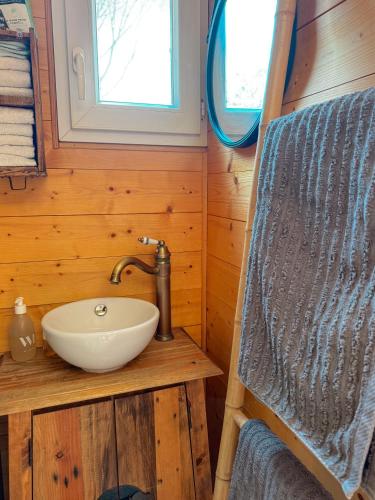 a bathroom with a sink in a tiny house at La Petite Maison d'Emma in Vidauban