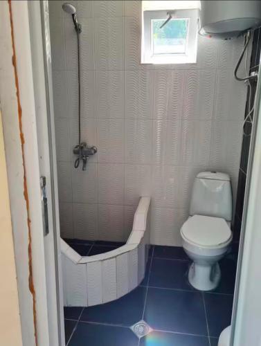 a small bathroom with a toilet and a shower at Debi in Lentekhi