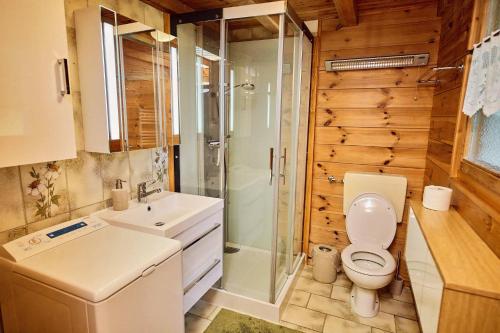 a bathroom with a toilet and a shower and a sink at Chalet Louchelet in Hérémence