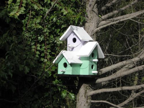 a green bird house hanging from a tree at Dodo House in Villa La Angostura