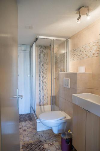 a bathroom with a toilet and a shower and a sink at Chalet Les Rhodos in Vex