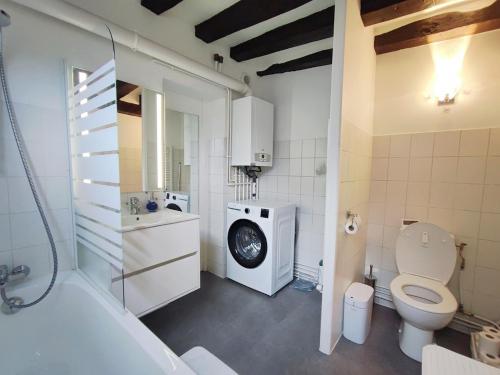 a bathroom with a toilet and a washing machine at Cottage spirit in Normandy - typical studio in Évreux