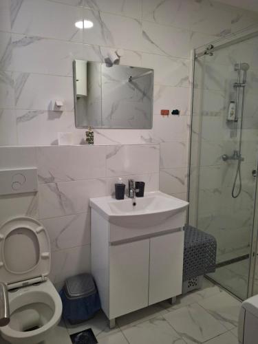 a bathroom with a toilet and a sink and a shower at Zmaj LUX 2 in Mladenovac