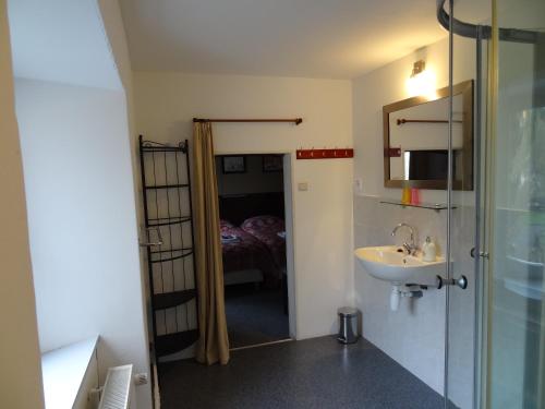 a bathroom with a sink and a shower and a bed at La Fermette Blanche in Nadrin