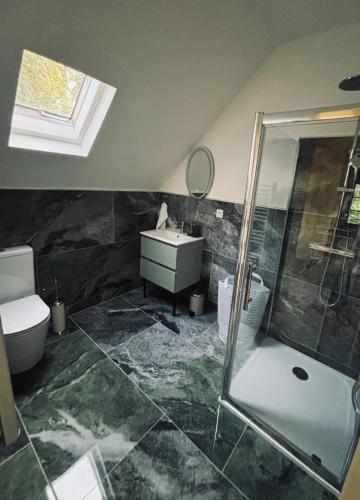 a bathroom with a sink and a shower and a toilet at Les gîtes in Daubeuf-Serville