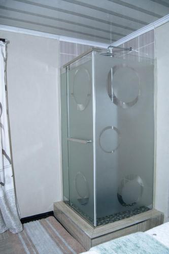 a glass shower stall with four circles in it at Dam View Guest house in Bokong