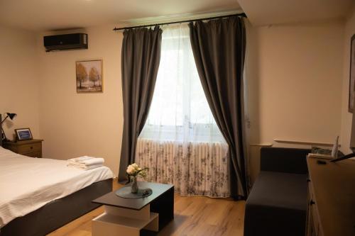 a bedroom with a bed and a window at AleA Central Studio Art Museum in Craiova