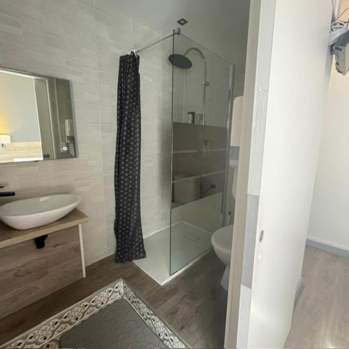 ein Badezimmer mit Dusche, Waschbecken und Toilette in der Unterkunft Hôtel Le Picardy in Saint-Dizier