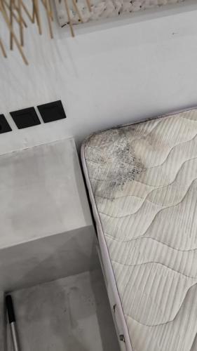 FIRA BLOOM ROOMs