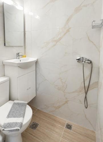 a bathroom with a shower and a toilet and a sink at Ioannis Schinas Studios in Loutra Edipsou