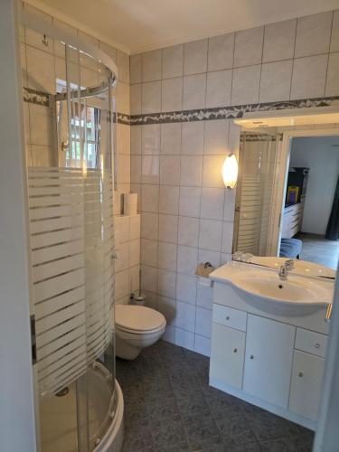 a bathroom with a sink and a toilet and a shower at Ferienwohnungen Forever in Gamlitz