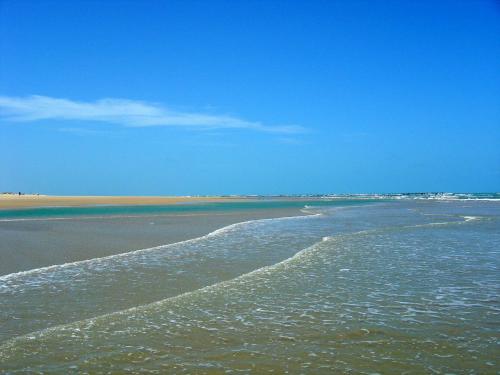a beach with the ocean and a blue sky at Pousada Barra do Mundaú in Lavagem