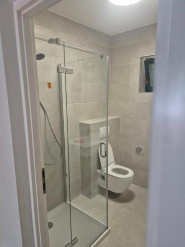 a bathroom with a toilet and a glass shower at Kuća za odmor in Brzac