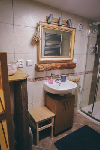 a bathroom with a sink and a mirror and a shower at Pod Buchtou in Daňkovice