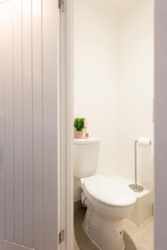 a white bathroom with a toilet and a plant on a shelf at 4BR Braintree Contractor - long stay in Braintree