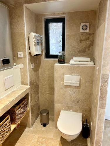 a bathroom with a toilet and a window at Gîte en Provence in Mison