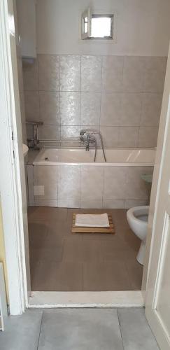 a bathroom with a tub and a toilet at Casa Luna Betiluna in Ciclova-Montană