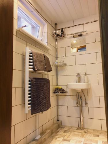 a small bathroom with a sink and a mirror at Elbblick-kleine-Wohnung-mit-Terrasse in Gollhofen