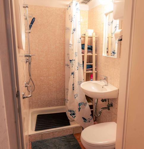 a bathroom with a shower and a toilet and a sink at Mediterranean Family design in Izola
