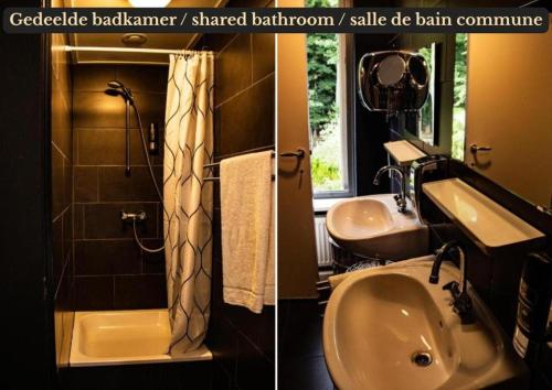 two pictures of a bathroom with a sink and a shower at Budget Hostel De Elderschans in Aardenburg