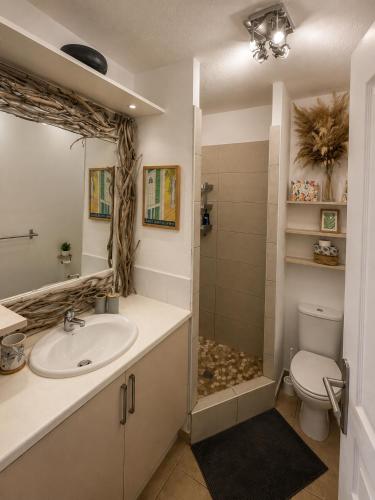 a bathroom with a sink and a toilet at Between Caribean Seas in Cul de Sac
