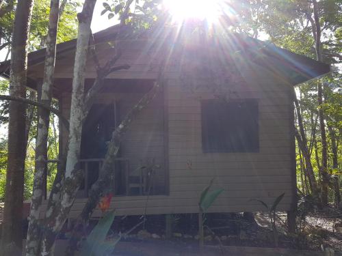 a small house with the sun shining through the trees at Hidden Haven in Unitedville
