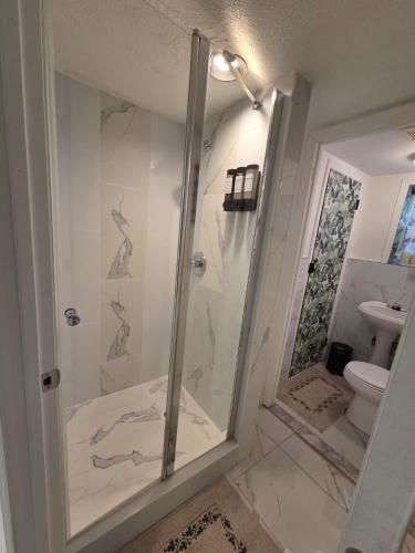 a bathroom with a shower and a toilet at Tropical Oasis in Rosedale