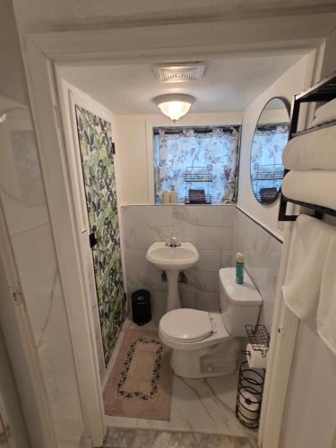 a small bathroom with a toilet and a sink at Tropical Oasis in Rosedale