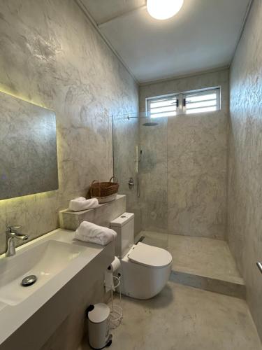 a bathroom with a toilet and a sink and a shower at Alizé Mont Choisy in Mont Choisy
