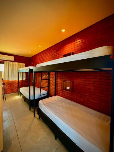 zwei Etagenbetten in einem Zimmer mit einer Backsteinwand in der Unterkunft Bee Cool Hostel in Palmas