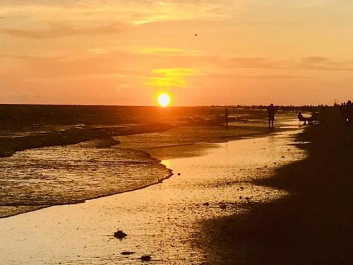 a person walking a dog on the beach at sunset at Walk to Siesta Key Beach-Remote Worker Friendly -High Speed WiFi- Bikes Included -Private Fenced In -Close to Restaurants, Coffee Houses & Shops - Paisleys Keep it Simple Casita in Siesta Key
