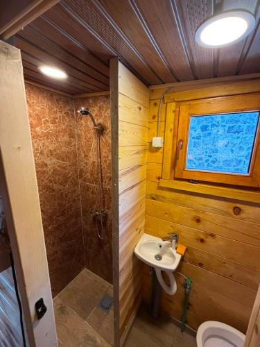 a bathroom with a toilet and a sink and a shower at Vikendice Pod Hum Kučka Korita in Korita
