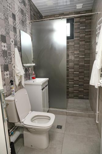 a bathroom with a toilet and a shower at EVORI Guesthouse in Dilijan