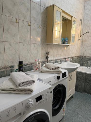 a bathroom with a washing machine and a sink at Apartman Damir in Čeluga