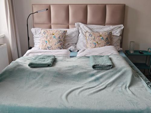 MINT Apartment