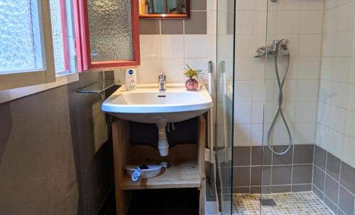 a bathroom with a sink and a shower at Le Moulin des Salces in Saint-Privat