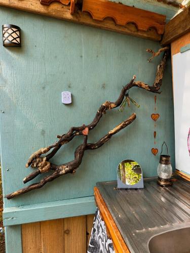 a tree branch on the side of a wall at Damson Keep Wild glamping pop up in Bere Alston