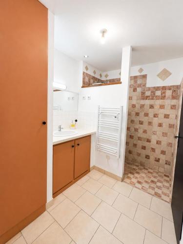 a small kitchen with a sink and a shower at Maison avec jardin in Harquency
