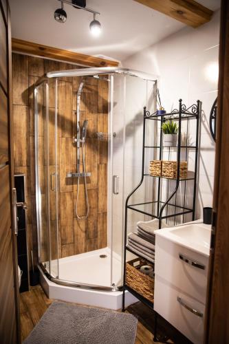 a bathroom with a shower and a sink at Siedlisko pod lipą in Józefów