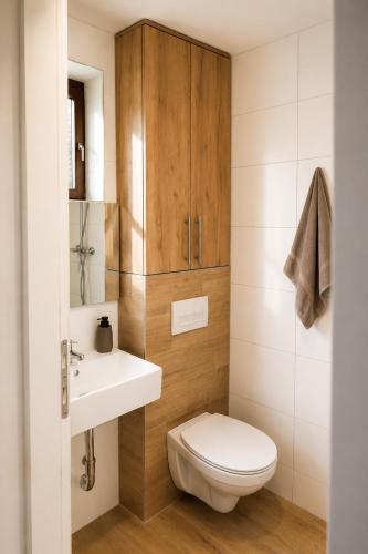 a bathroom with a toilet and a sink at Srce Baranje in Podolje