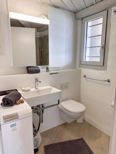 a white bathroom with a sink and a toilet at Al Paradiso by Fewotessin in Ronco sopra Ascona