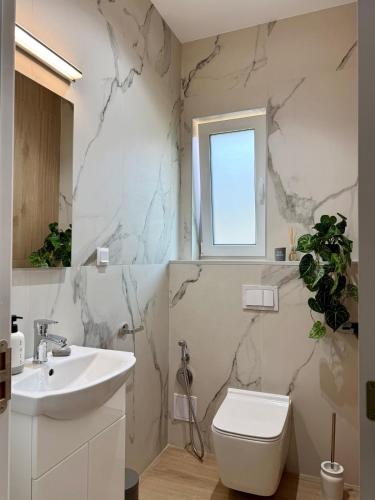 a bathroom with a sink and a toilet and a window at Sky Residence House 5 in Cluj-Napoca